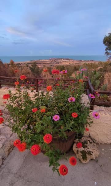 B&B Mare Calabria Capo Colonna 외부 사진